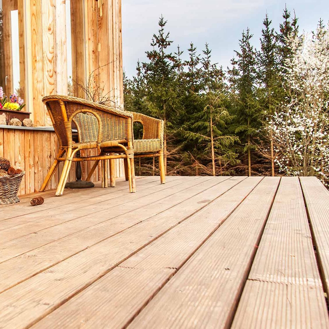 Terrassendielen in Solms kaufen bei HOLZMANN